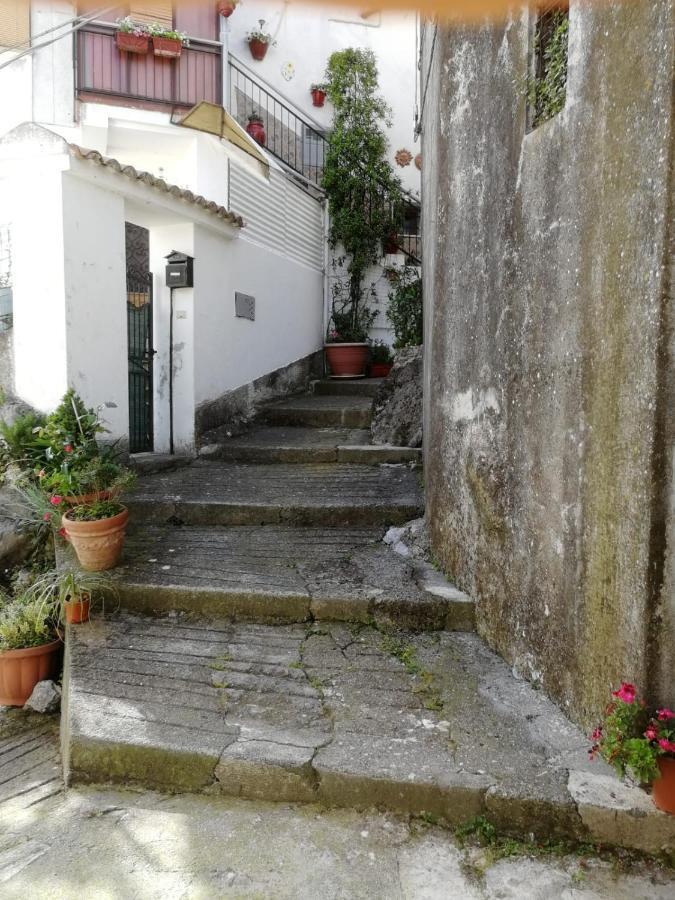 Casa- Vacanza Giro' - C2A6Peu3Ow Aieta エクステリア 写真