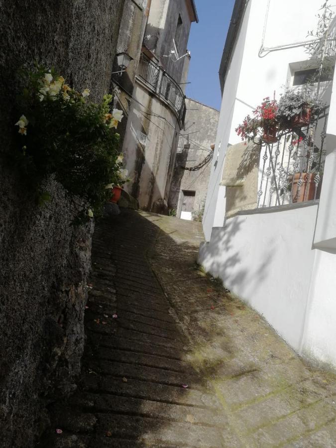 Casa- Vacanza Giro' - C2A6Peu3Ow Aieta エクステリア 写真